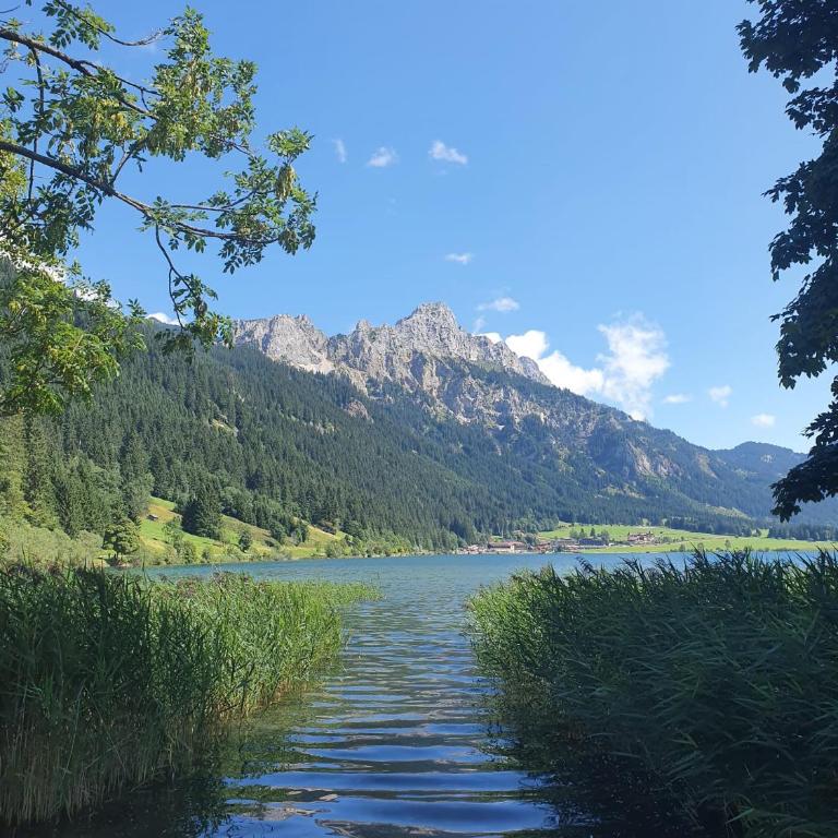 Ferienwohnung Sonnenblume mit Hallenbad und Sauna - Two-Bedroom Apartment - 17