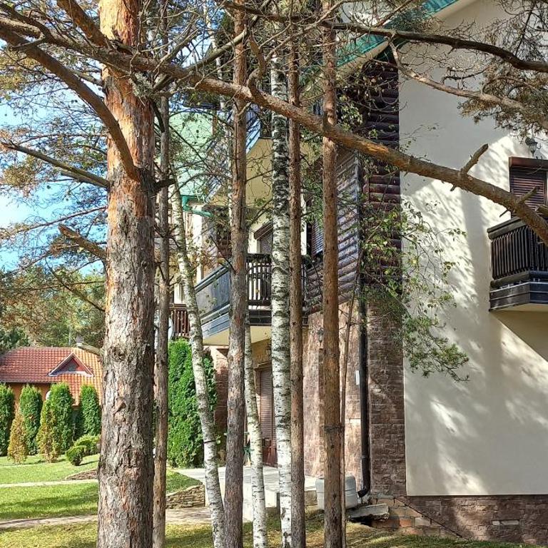 Divčibare Snežna Kraljica ap 13 - Apartman sa 1 Spavaćom Sobom - 39