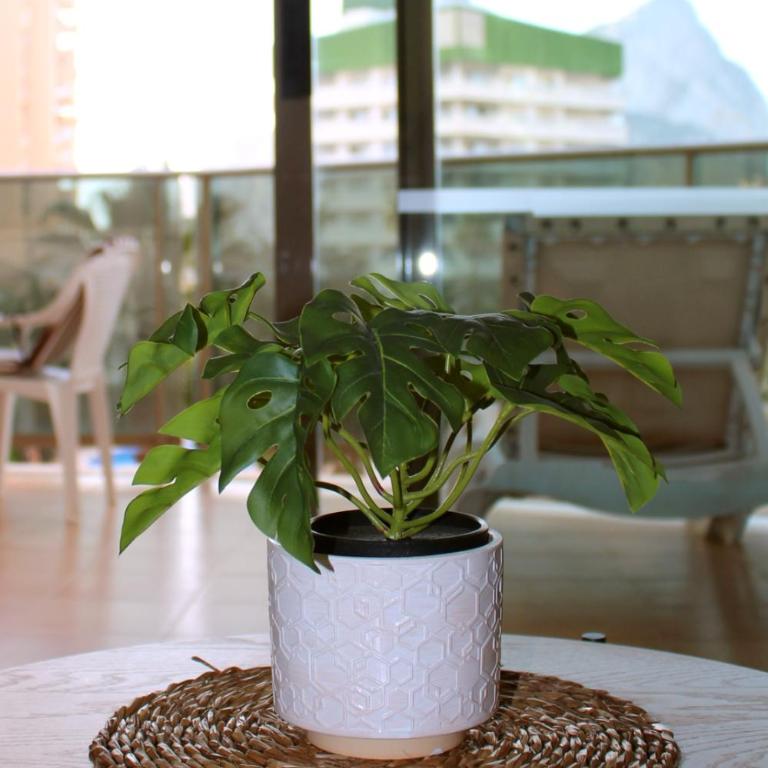 Apartment 2B - Calpe Esmeralda - Pool & Beach - Apartamento de 1 dormitorio - 19