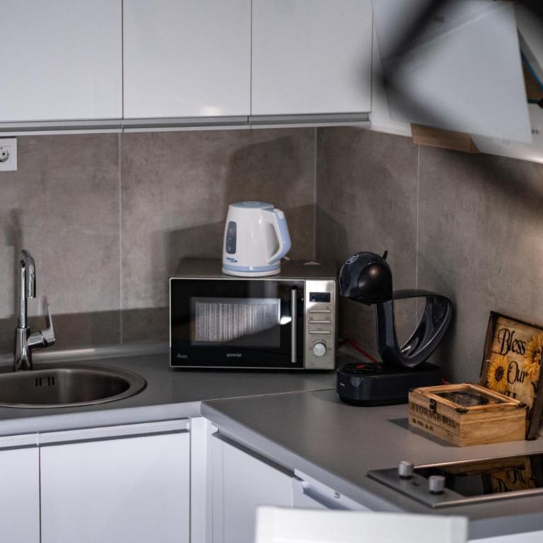 Apartman Georgijev - Apartman sa 1 Spavaćom Sobom - 10