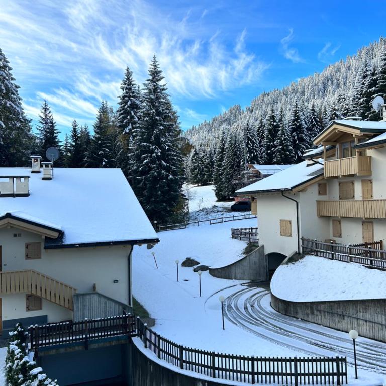 L'ermellino bianco casa vacanze Folgarida - Appartamento con 2 Camere da Letto - 21
