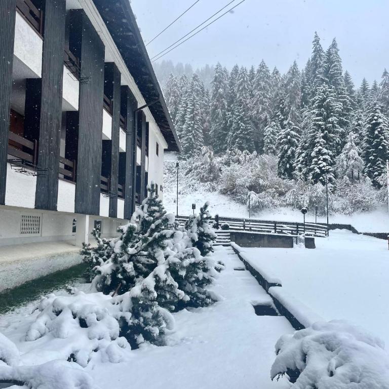 L'ermellino bianco casa vacanze Folgarida - Appartamento con 2 Camere da Letto - 23