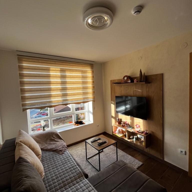 Apartments Myna in Kraljevi Cardaci - Apartment with Mountain View - 5
