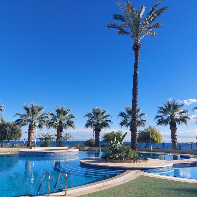 Zafiro Apartment Cabo Roig - Apartamento de 2 dormitorios - 1