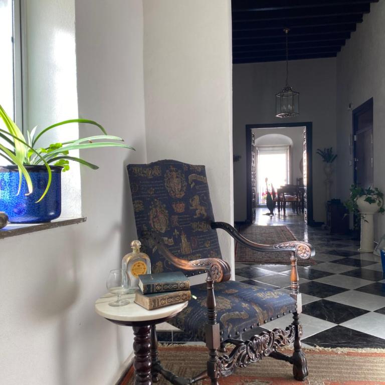 Gran casa señorial de 300m en centro histórico - Apartamento - 63