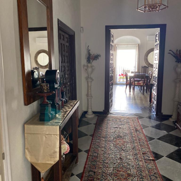 Gran casa señorial de 300m en centro histórico - Apartamento - 60