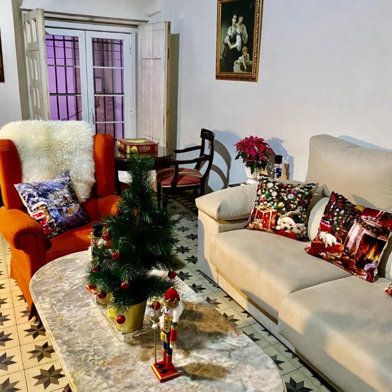 Gran casa señorial de 300m en centro histórico - Apartamento - 72