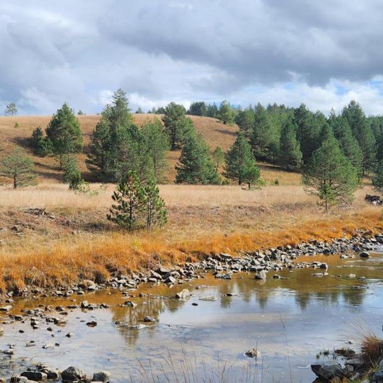 Paraiso Zlatibor - One-Bedroom Apartment - 57