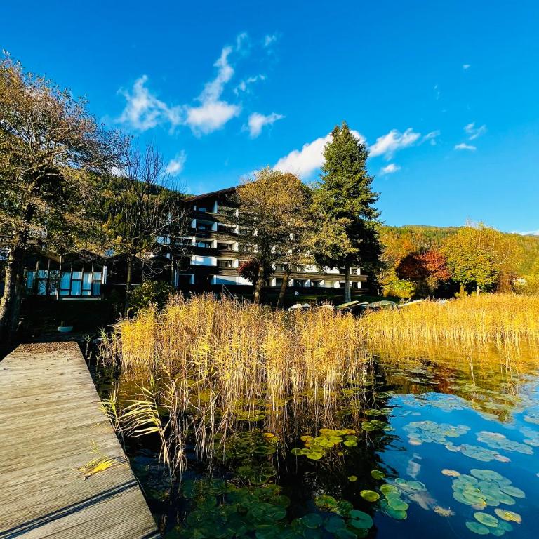 See-Apartment AURA am Fuße der Gerlitzen Alpe und Ufer des Ossiacher Sees - mit privatem Seezugang & Hallenbad - Apartment - 31