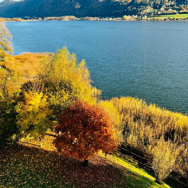 See-Apartment AURA am Fuße der Gerlitzen Alpe und Ufer des Ossiacher Sees - mit privatem Seezugang & Hallenbad - Apartment - 30