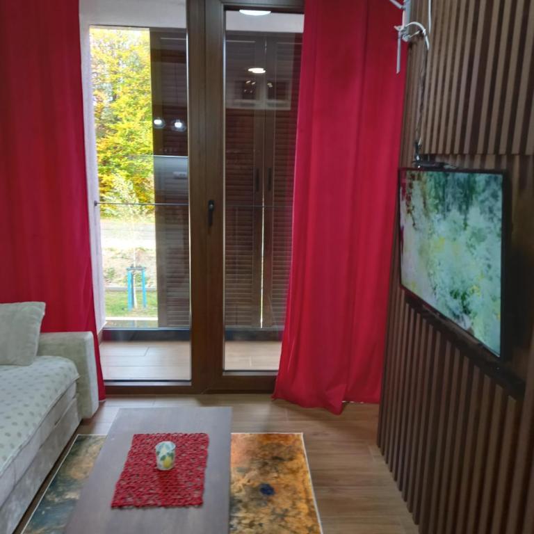 Apartmani Gavric Borovi 2 - Studio Apartment - 15