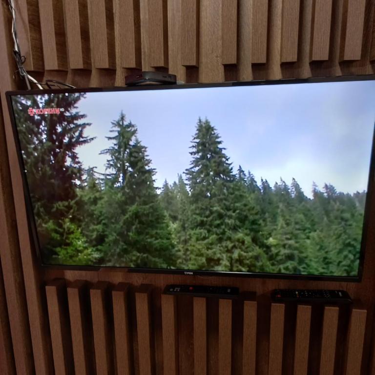 Apartmani Gavric Borovi 2 - Studio Apartment - 8