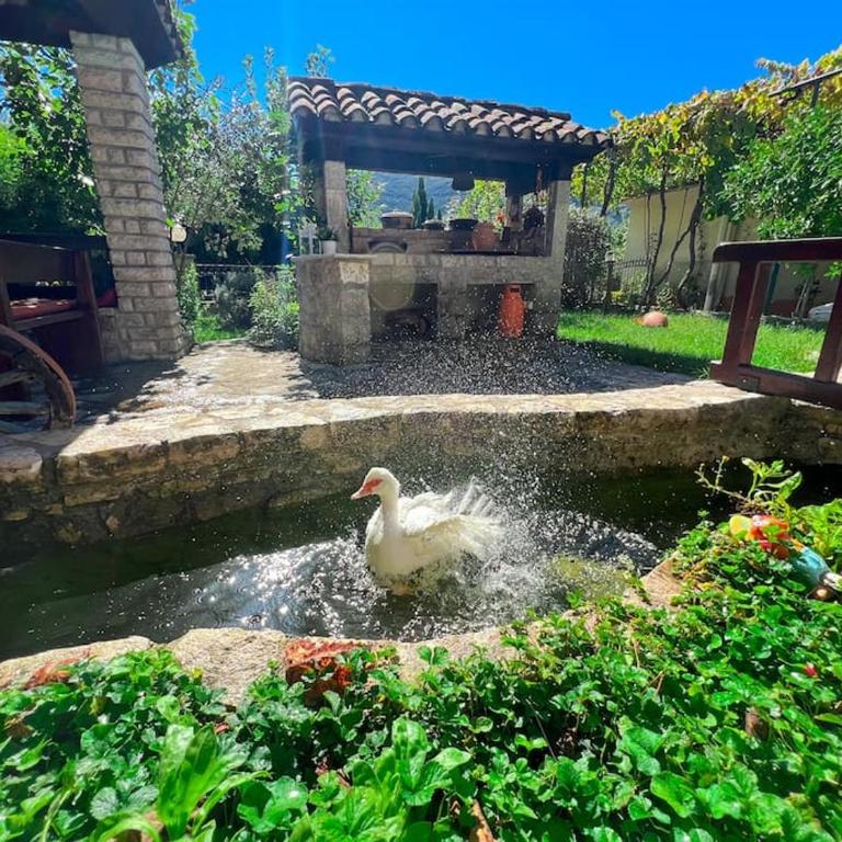 Household Vlaovic - Four-Bedroom House - 46