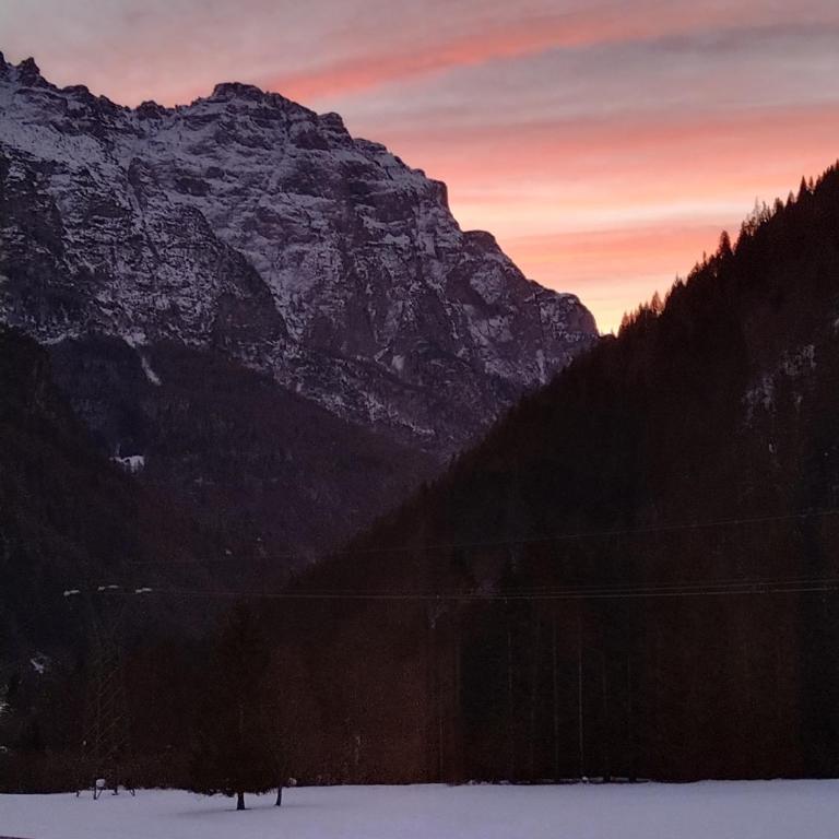 Casa FALCADE DOLOMITI - Appartamento con 1 Camera da Letto - 13