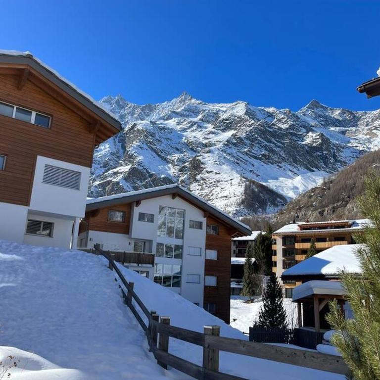 Perla Garden, stylish apartment - Apartment mit 3 Schlafzimmern - 5