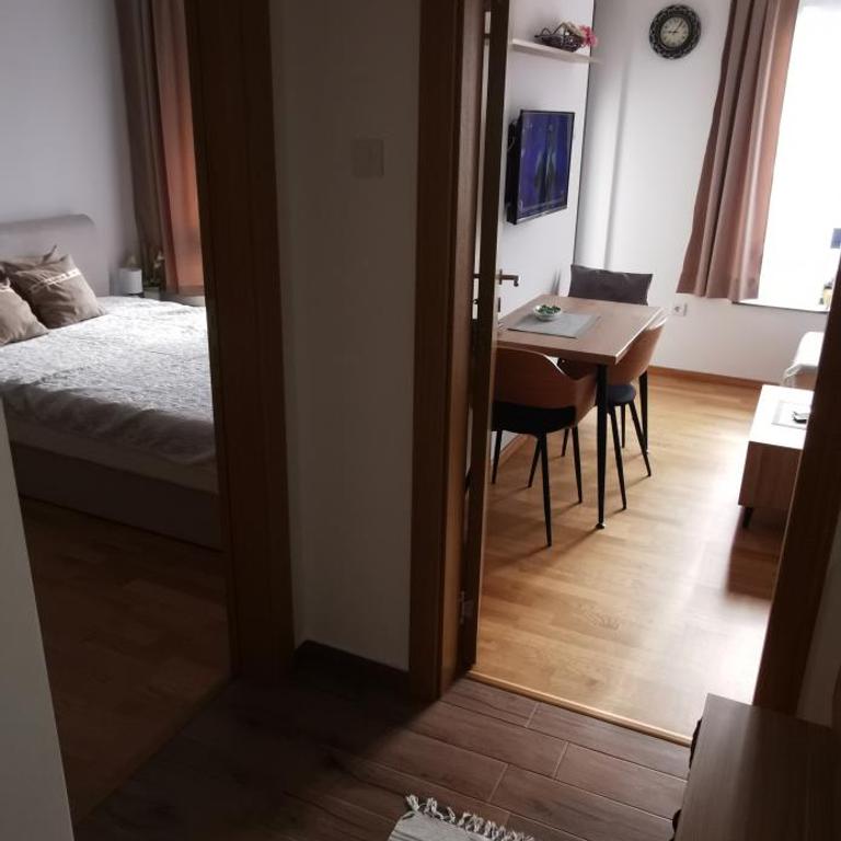 Apartman Andjelkovic - Apartman sa 1 Spavaćom Sobom - 3