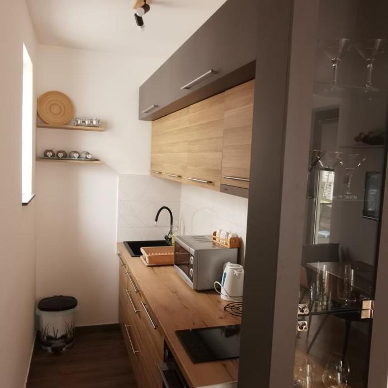 Apartman Andjelkovic - Apartman sa 1 Spavaćom Sobom - 4
