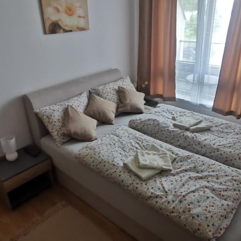 Apartman Andjelkovic - Apartman sa 1 Spavaćom Sobom - 5