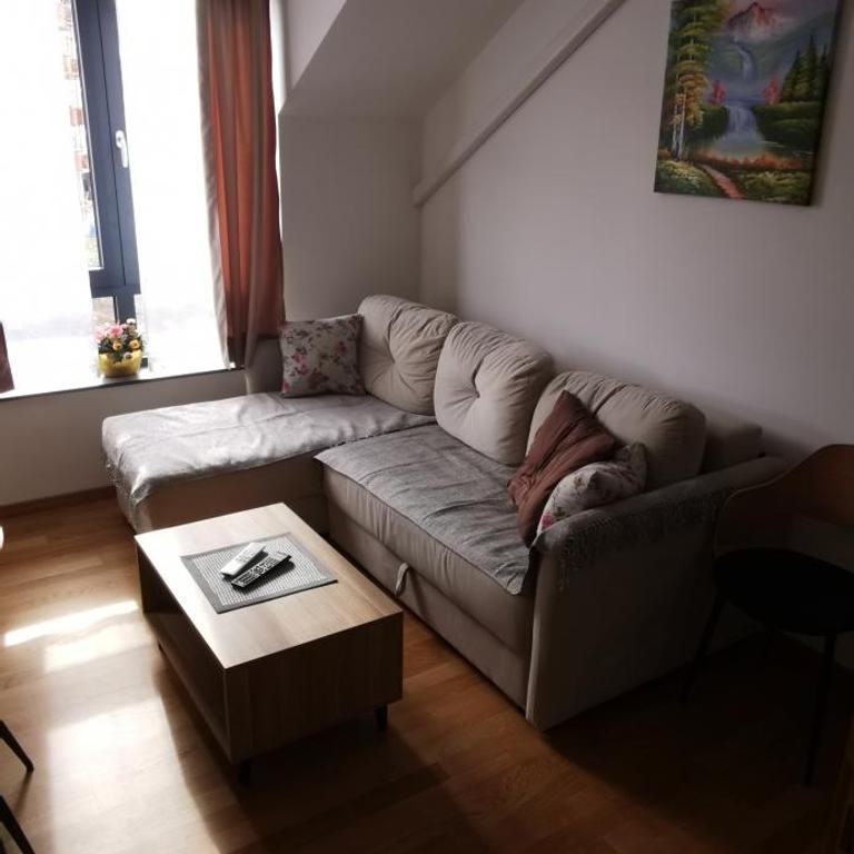Apartman Andjelkovic - Apartman sa 1 Spavaćom Sobom - 6