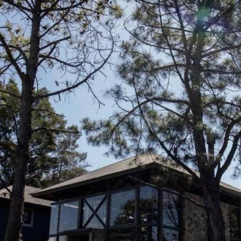 Modern Villa BR - Villa Deluxe - 54