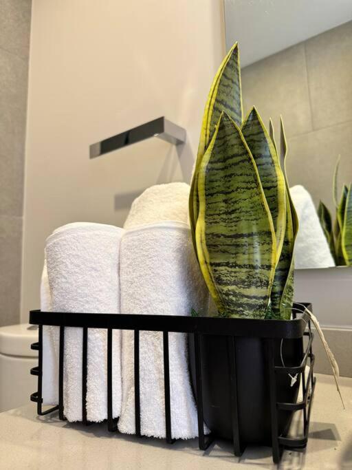 The best place to live and work - Apartamento de 2 dormitorios - 59