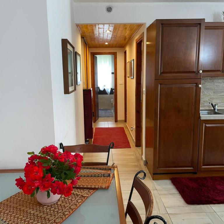 Full Apt x 6 to ski resort 4 km - Appartamento con 2 Camere da Letto - 30
