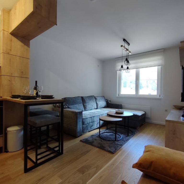 Apartment Snow Valley L6-A1 Jahorina - One-Bedroom Apartment - 6