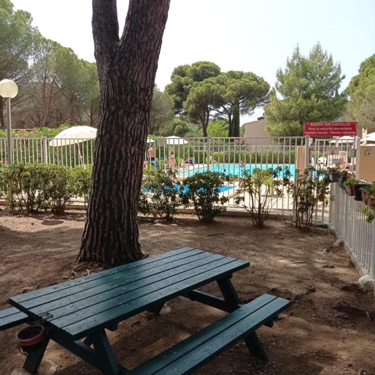 Villa dans la Pinède - Casa - 25