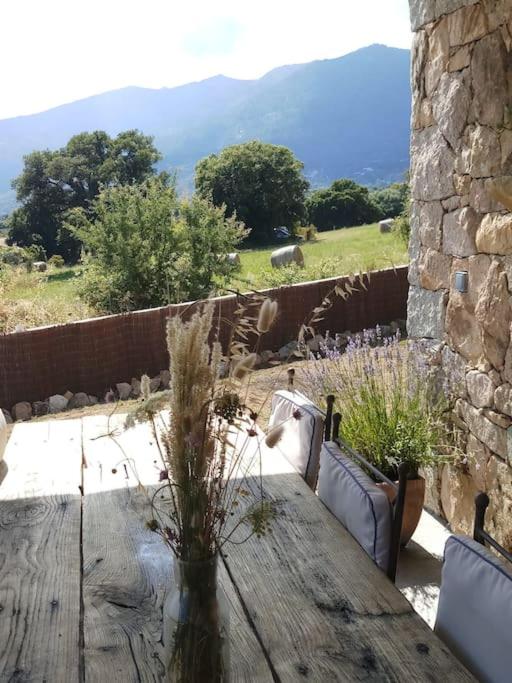 Maison type bergerie proche Porto-Vecchio - Villa mit 2 Schlafzimmern - 31
