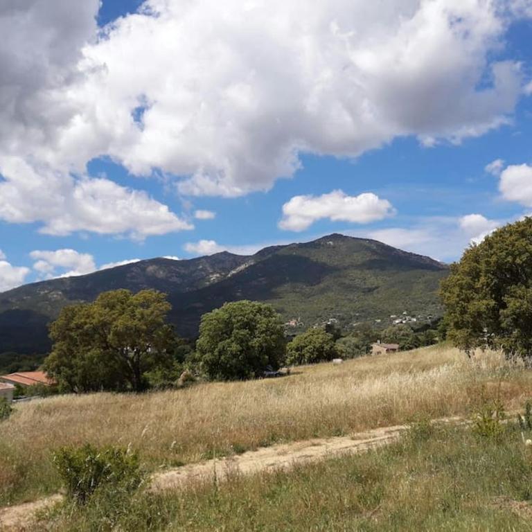 Maison type bergerie proche Porto-Vecchio - Villa mit 2 Schlafzimmern - 42