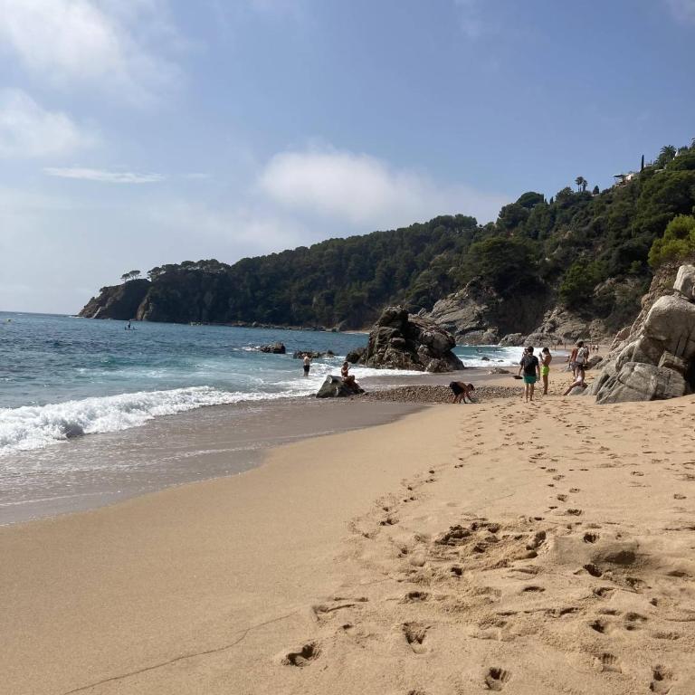 Bertur Cala Llevado - Apartamento de 1 dormitorio - 100