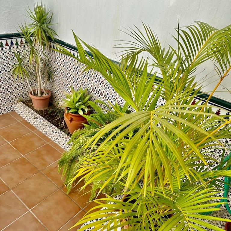 Fuengirola Casa Centro Mar y Sol - Casa de 2 dormitorios - 19