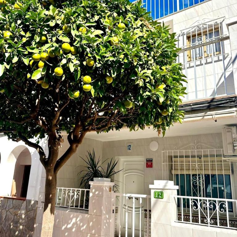 Fuengirola Casa Centro Mar y Sol - Casa de 2 dormitorios - 23