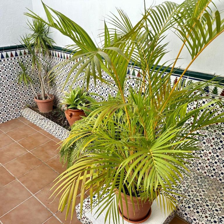 Fuengirola Casa Centro Mar y Sol - Casa de 2 dormitorios - 18