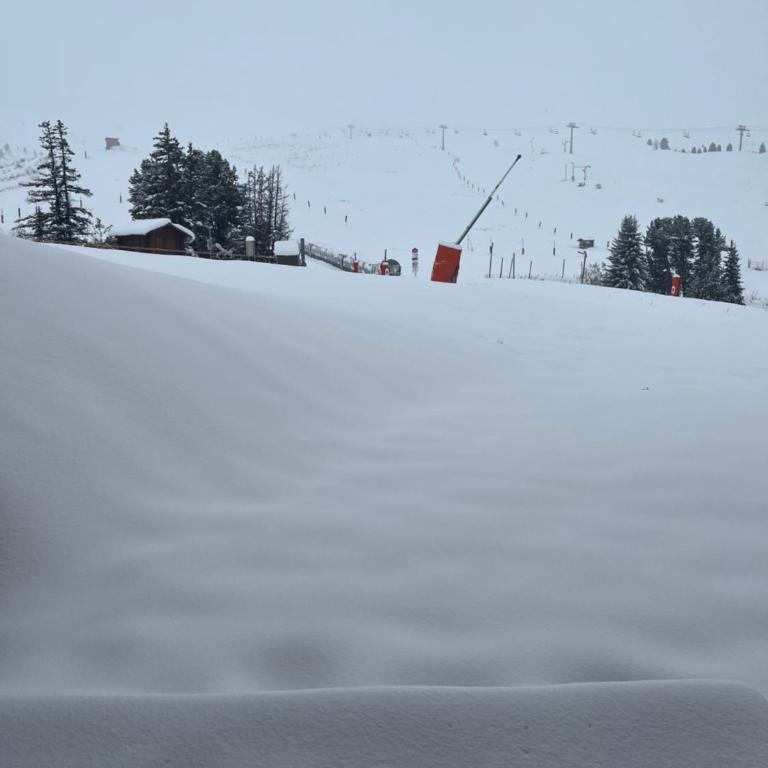 BELLE PLAGNE - Appartement 6 personnes sur les pistes - Appartement 1 Chambre - 15