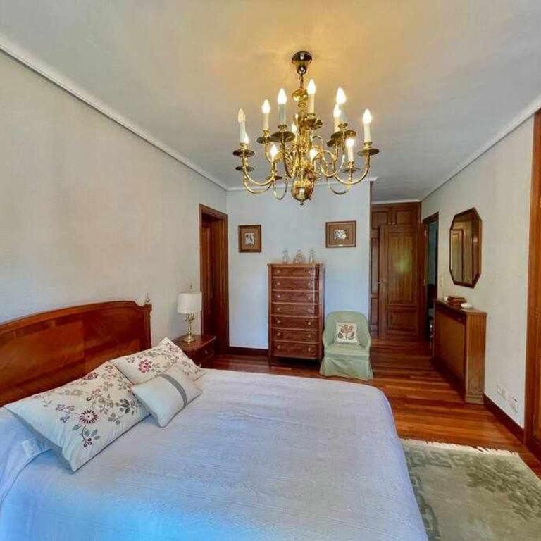 Amatxo Maitia - Amplio piso, de premio "Goya" - Apartment - 15