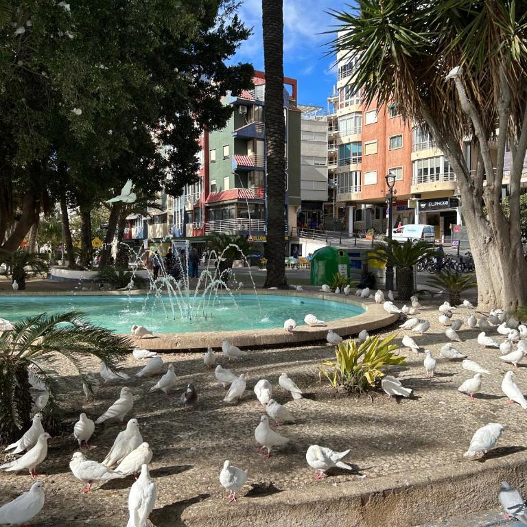 Private apartment in the Old Town "Center&Beach" - One-Bedroom Apartment - 44