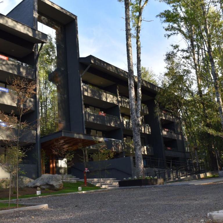 Dpto Pucón, camino al volcán - Apartamento de 2 dormitorios - 1