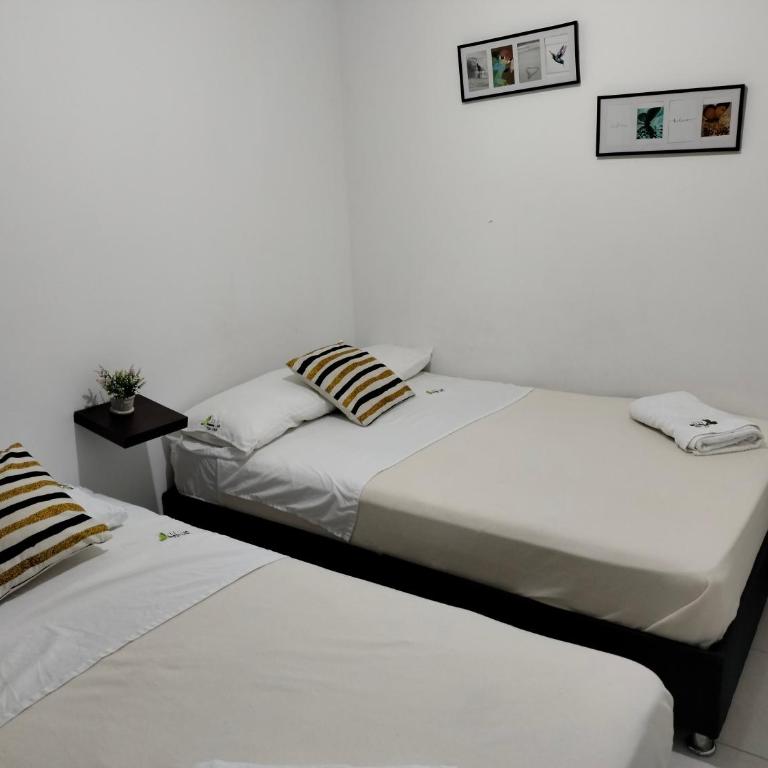 Apartamento cerca parque del Café con Piscina - Apartamento - Planta baja - 22