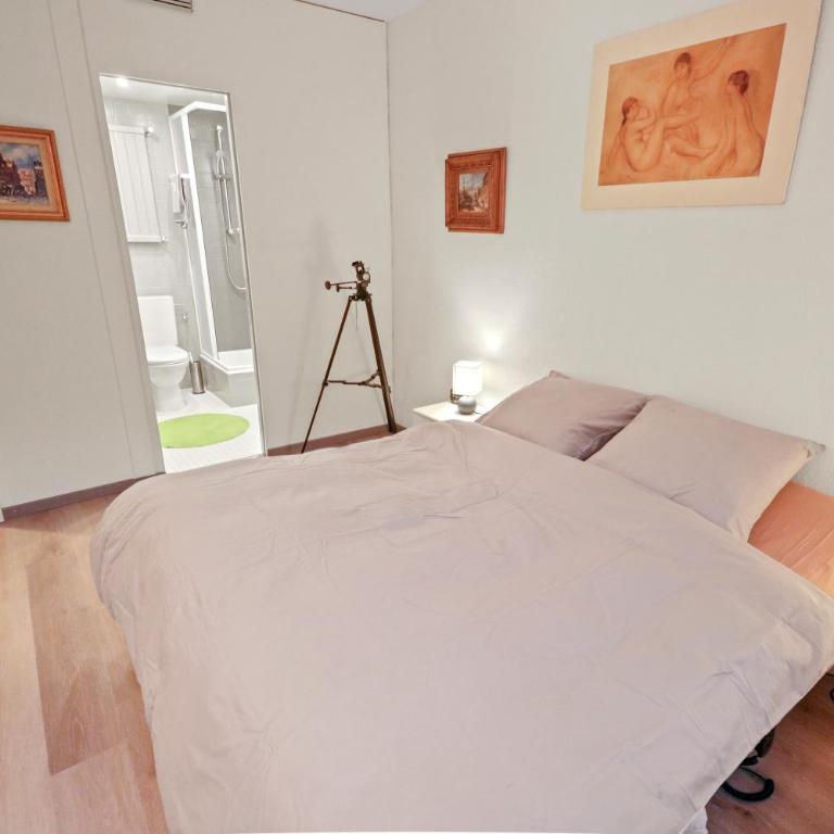 Logement avec vue époustouflante sur les montagnes - Appartement 1 Chambre - 19
