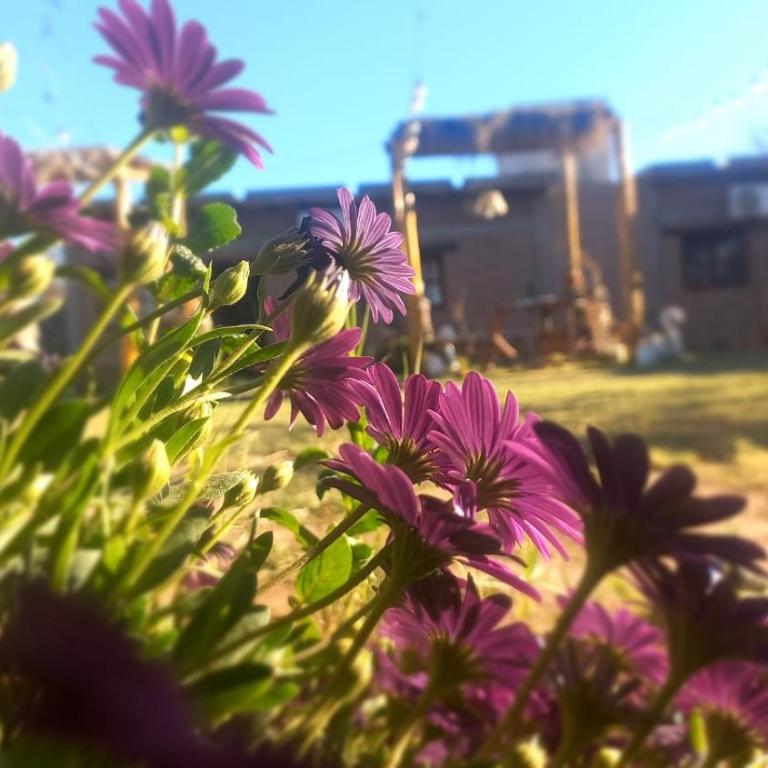 Hostal Sisabel - Family Bungalow - 19