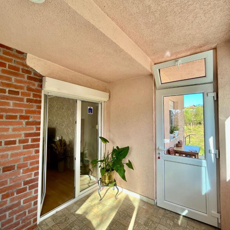 Apartmani Stela Sokobanja - One-Bedroom Apartment - 9
