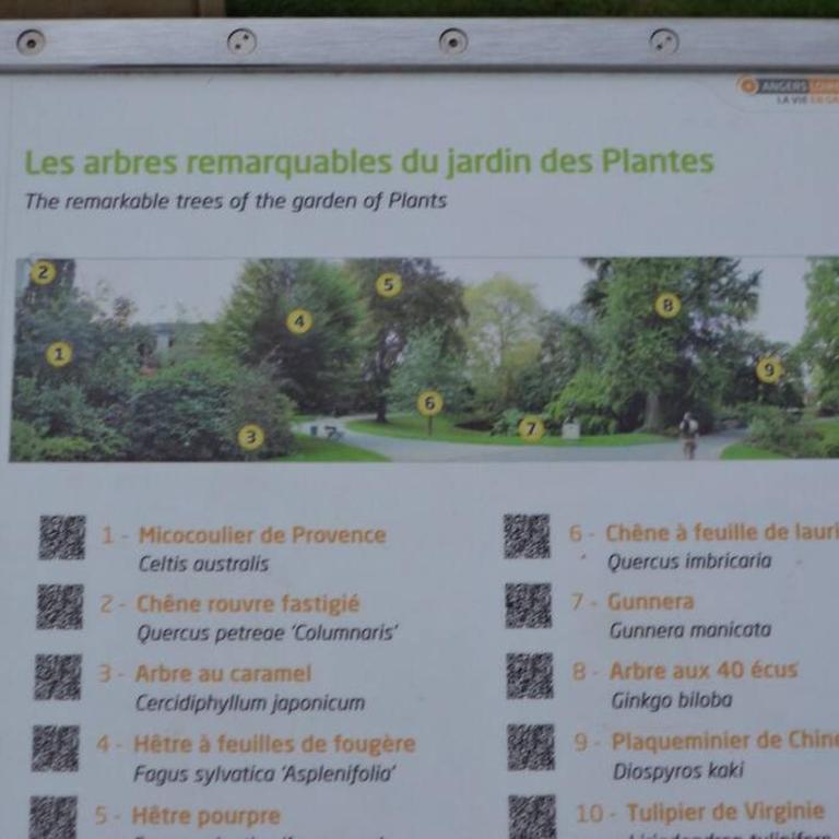 LE GREY-JARDIN DES PLANTES-CENTRE DES CONGRES - Appartement 2 Chambres - 20