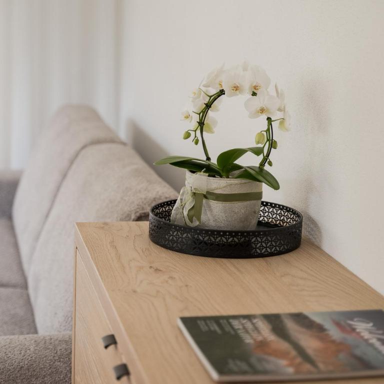 Apartsuites Rosengarten - Appartement avec Vue sur la Montagne - 8