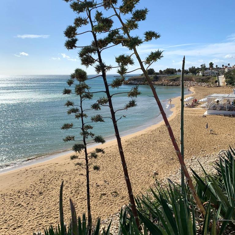 Le quattro palme - Casa Vacanze - 3
