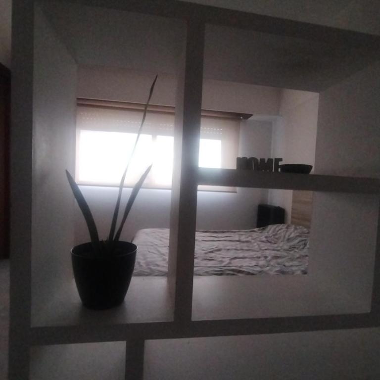 San Martín 3510 OK - One-Bedroom Apartment - 5