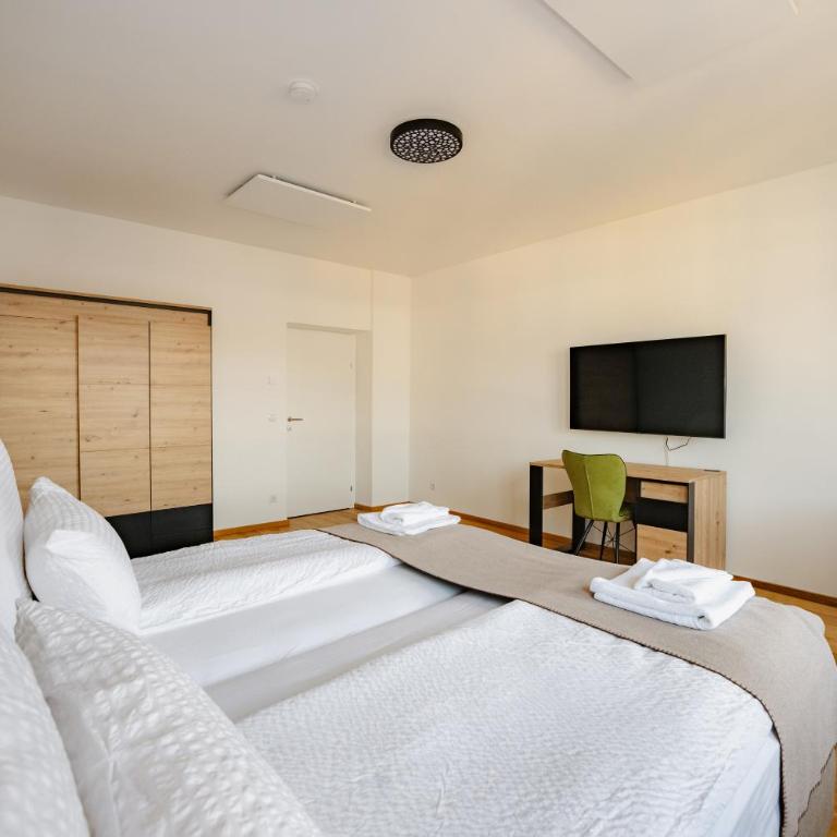 Graz City Lights - Apartamento de 3 dormitorios - 12
