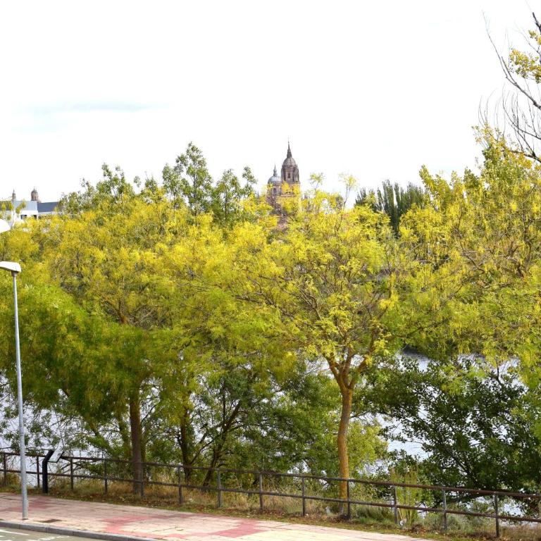 Vistas Río Tormes Huerta Otea - Casa de 3 dormitorios - 24