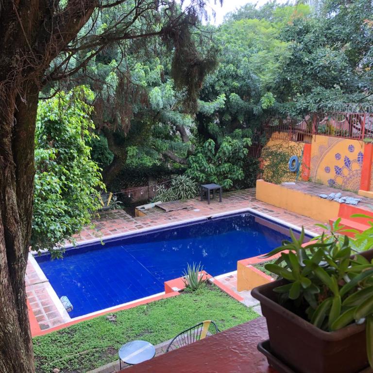 Bungalito en Cuernavaca - Habitación Doble con vistas a la piscina - 7
