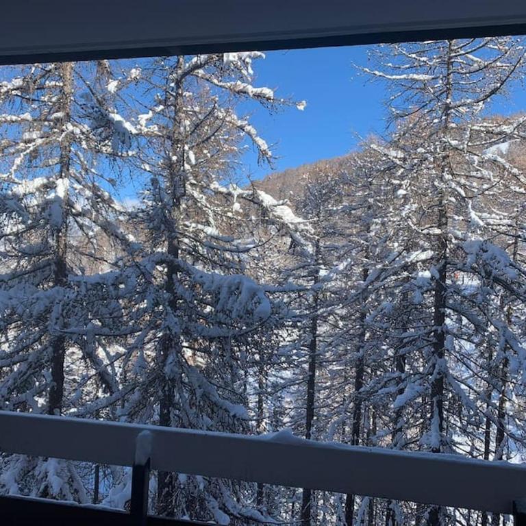 Studio Le flocon - Appartement 1 Chambre - 7